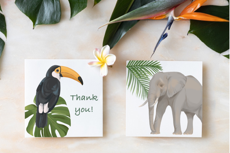 safari-jungle-animals-clipart-tropical-leaves-illustrations