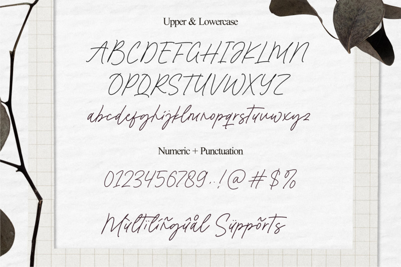 modern-sounds-monloline-script-font