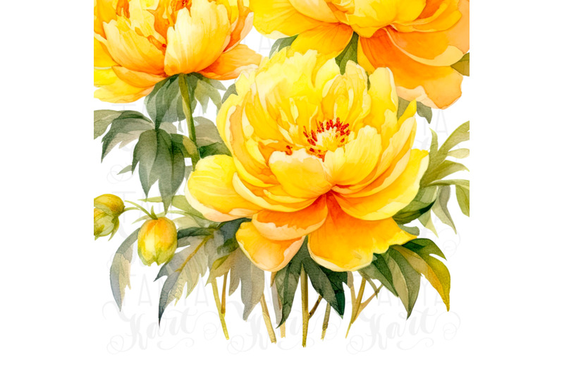 yellow-peonies-png-digital-download