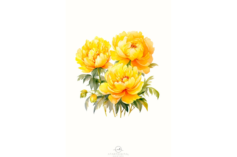 yellow-peonies-png-digital-download