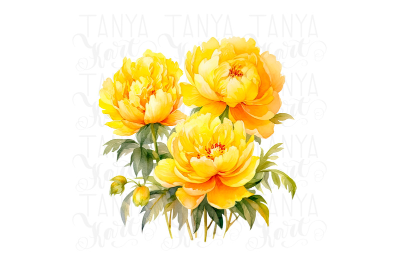 yellow-peonies-png-digital-download