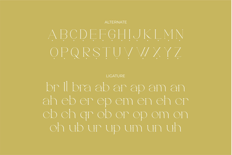 brillant-stylish-ligature-serif