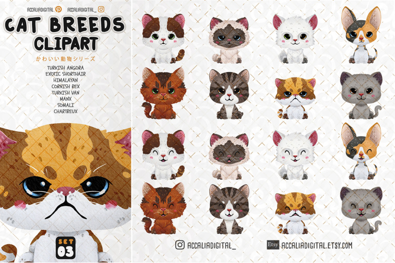 cute-cat-breeds-clipart-animal