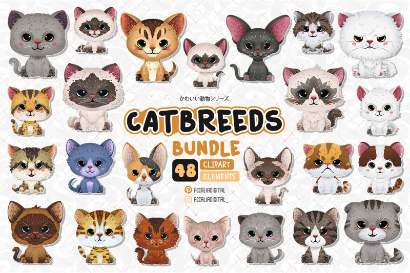 cute-cat-breeds-clipart-animal