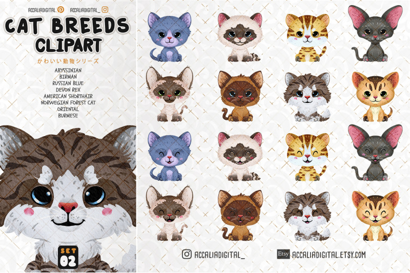 cute-cat-breeds-clipart-animal