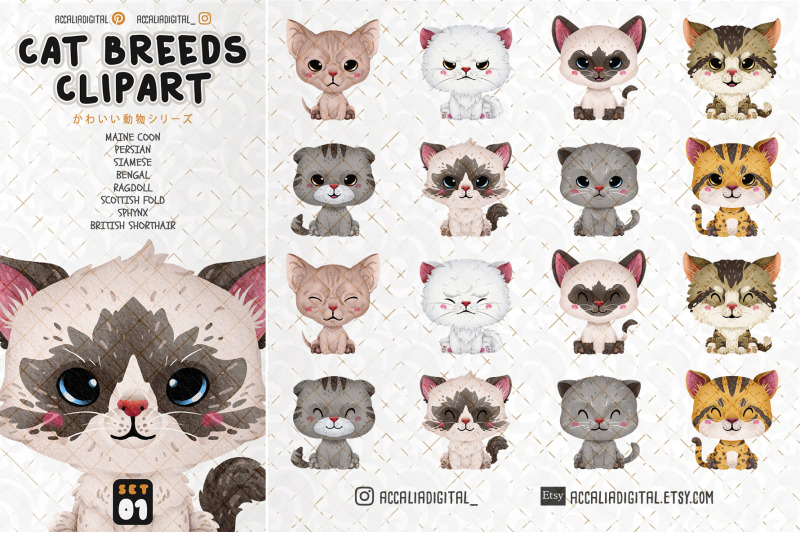 cute-cat-breeds-clipart-animal