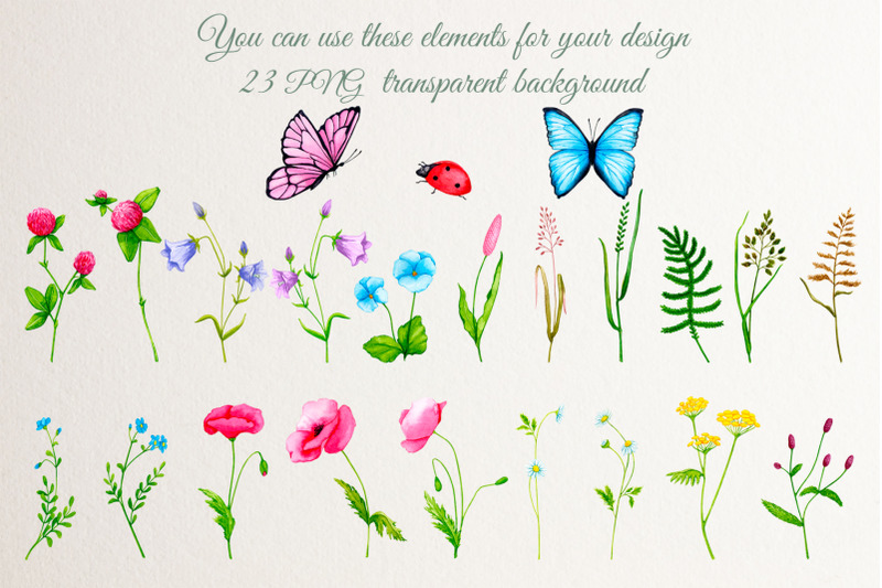 wildflowers-and-greenery-watercolor-clipart-png