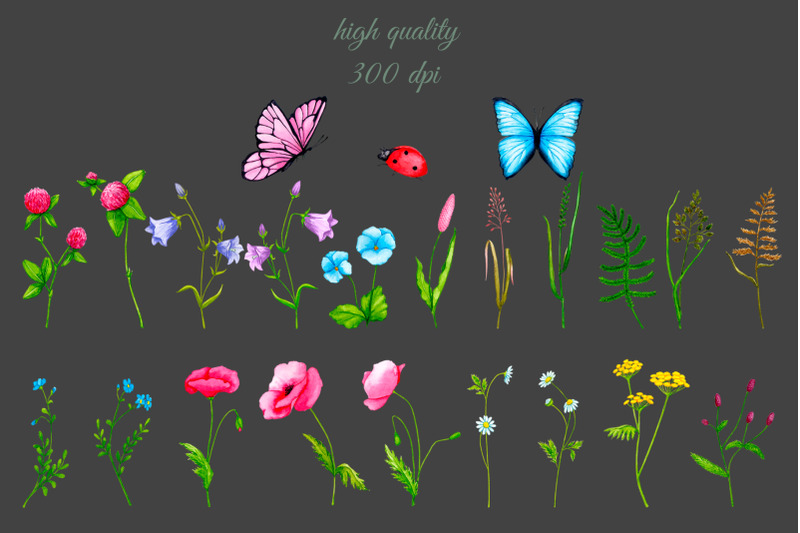 wildflowers-and-greenery-watercolor-clipart-png