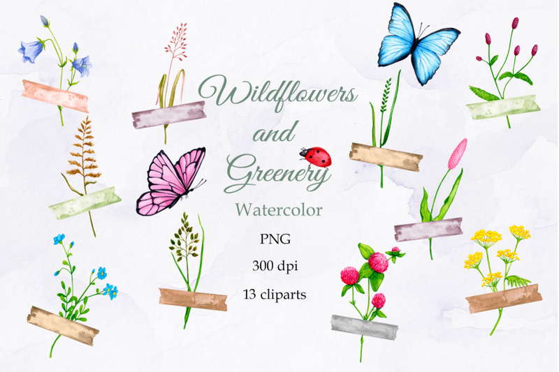 wildflowers-and-greenery-watercolor-clipart-png