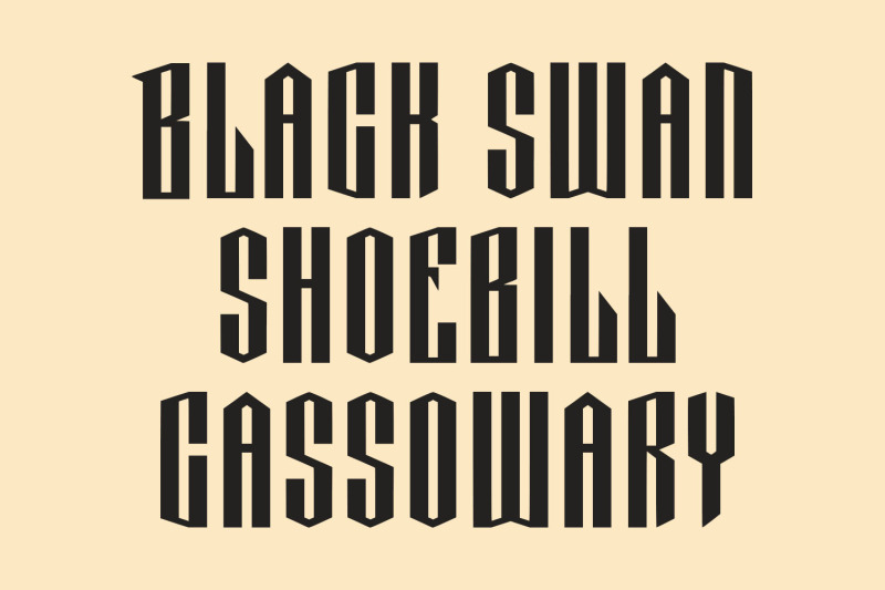 movizt-blackletter-display-font