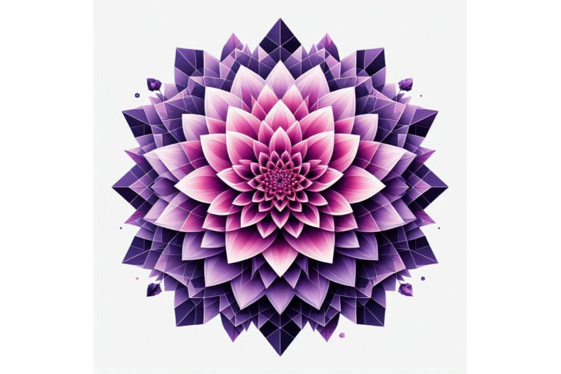 purple-dahlia-flower-isolated