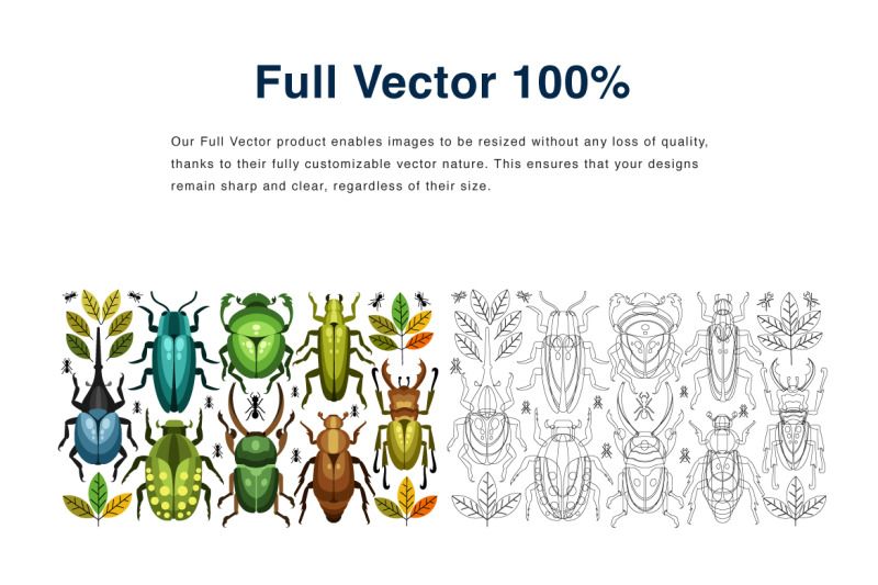 insects-vector-illustration