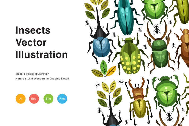 insects-vector-illustration