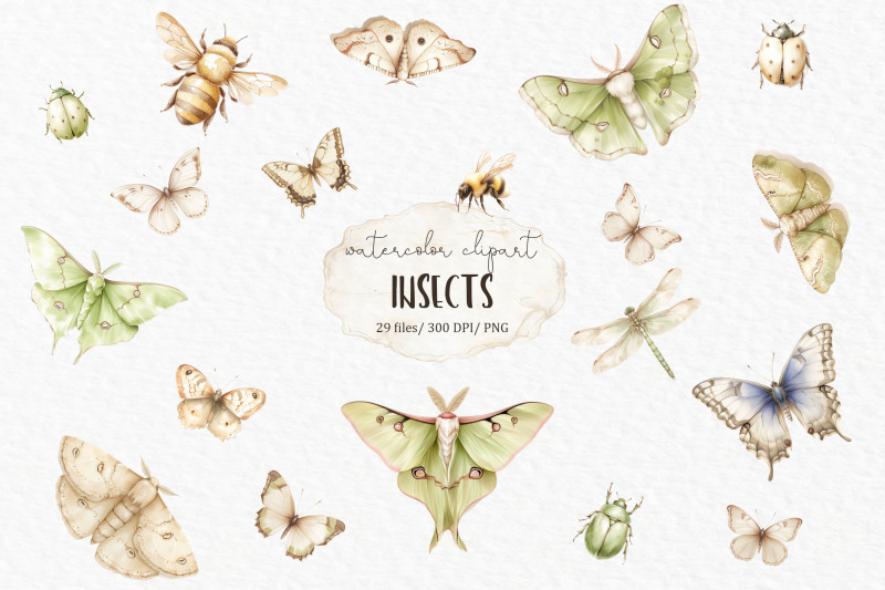 luna-moth-watercolor-clipart