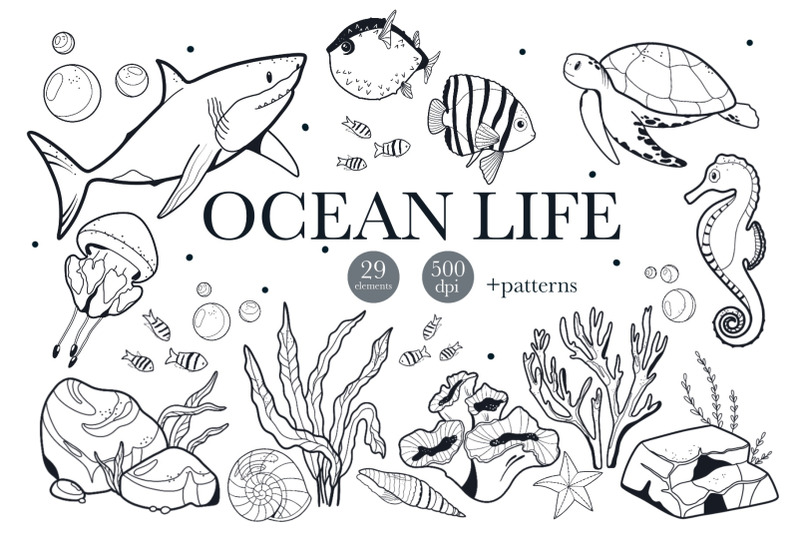 ocean-animals-clipart-seaweed-coral-reef