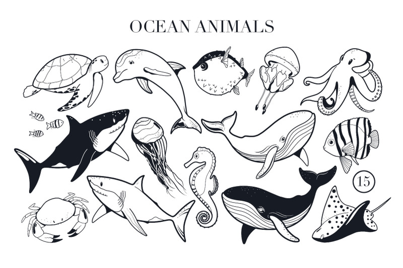 ocean-animals-clipart-seaweed-coral-reef