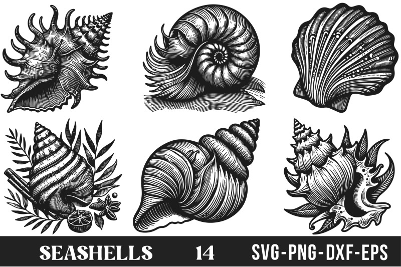 seashells-svg-bundle