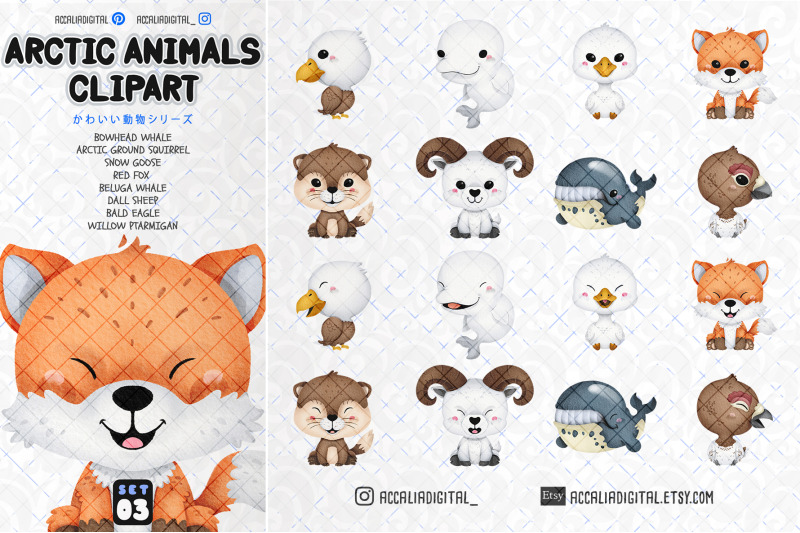 cute-arctic-animals-clipart