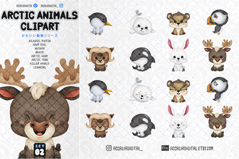 cute-arctic-animals-clipart