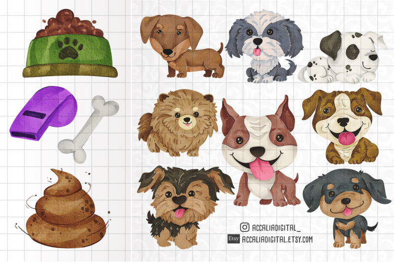 cute-dog-breed-animal-clipart