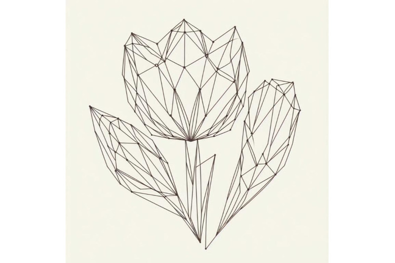 tulip-contour-drawing-minimal-fl