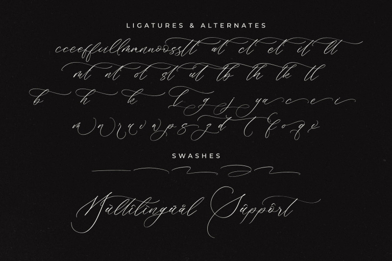 brightera-himalaye-beautiful-script-calligraphy