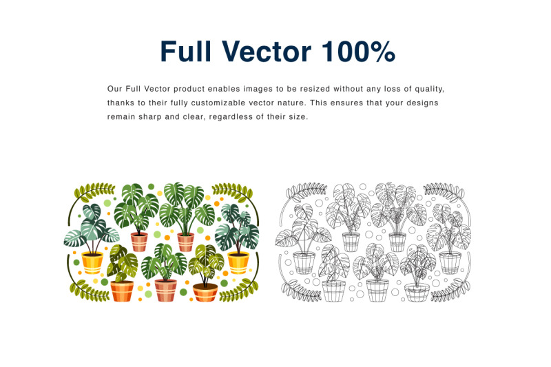 monstera-collection-vector-illustration