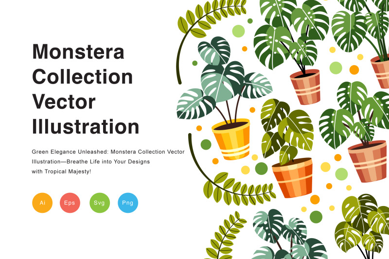 monstera-collection-vector-illustration