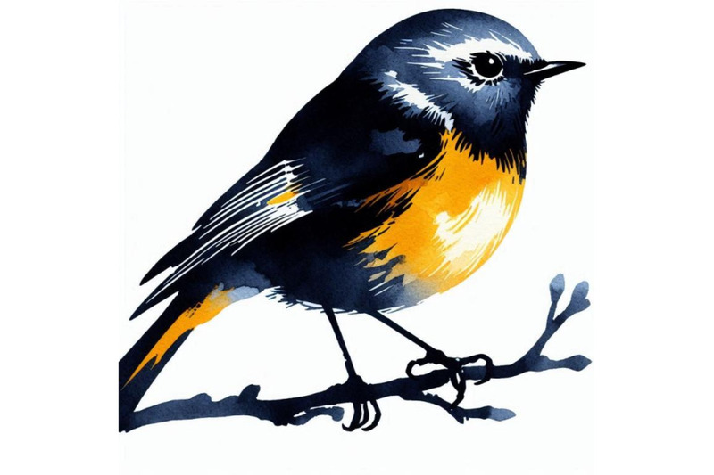 american-redstart-bird-watercolo