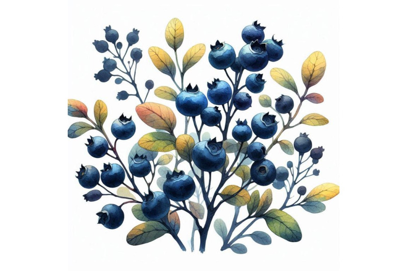 watercolor-blueberries-white-bac