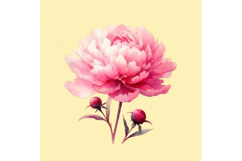 delicate-watercolor-pink-peony