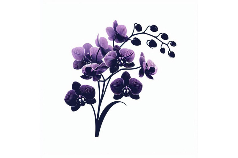 purple-orchid-isolated