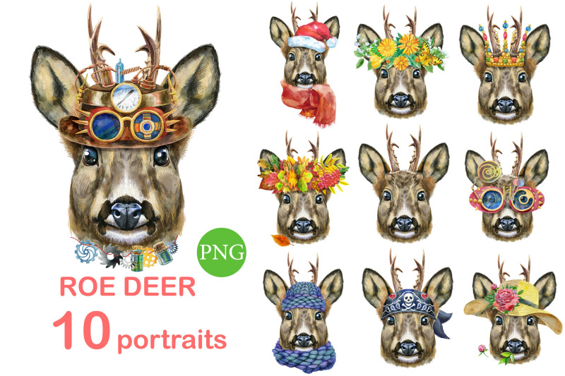 roe-deer-portraits