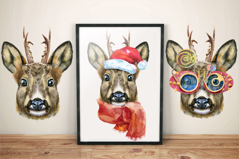 roe-deer-portraits