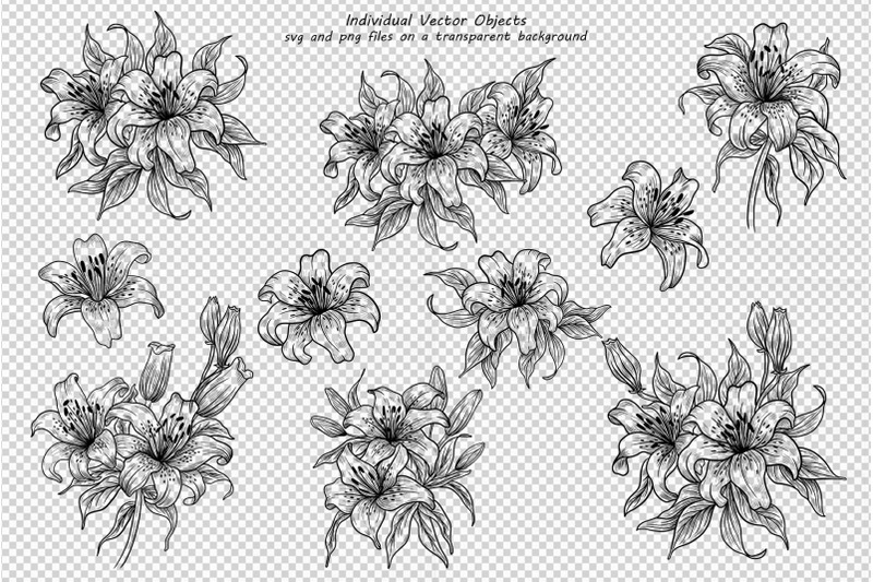 lily-flowers-line-art-collection