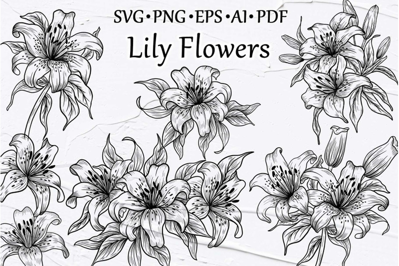 lily-flowers-line-art-collection