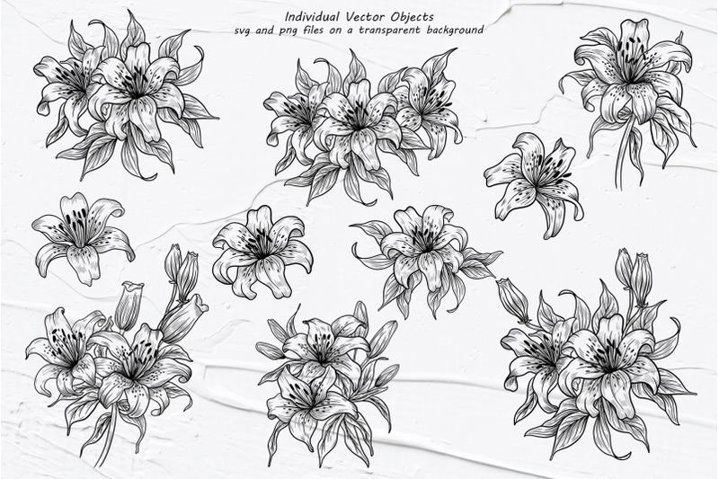 lily-flowers-line-art-collection