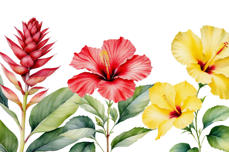 tropical-flowering-plants