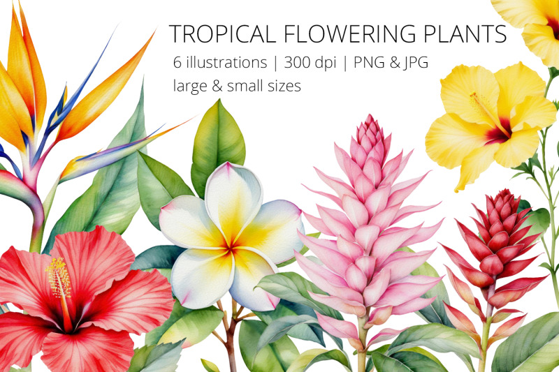 tropical-flowering-plants