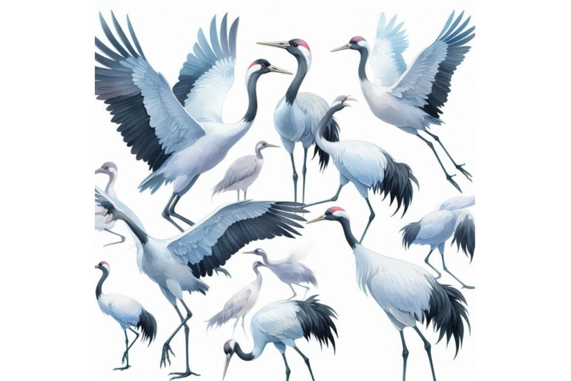 watercolor-asian-crane-bird-set