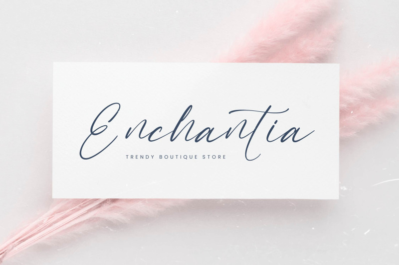 mandyta-oliver-freestyle-stylish-font