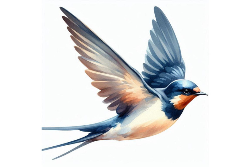 watercolor-swallow-on-white-background