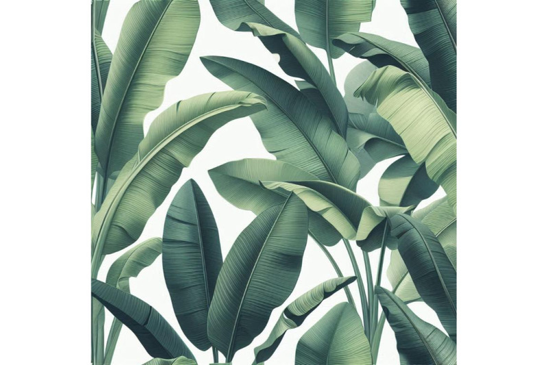 fresh-green-banana-leaves-on-white-backg