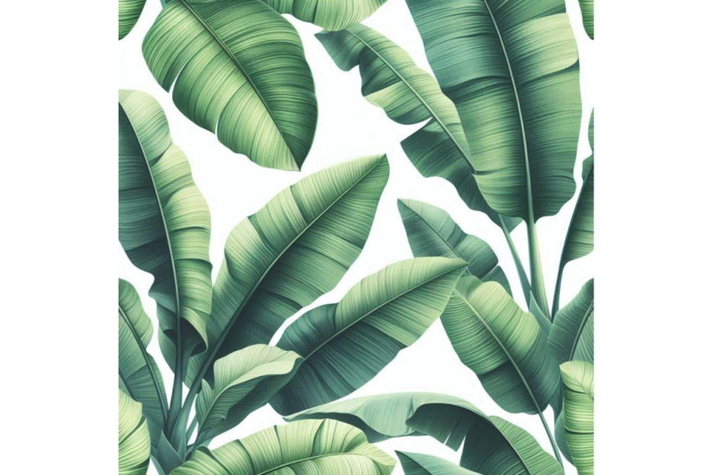 fresh-green-banana-leaves-on-white-backg