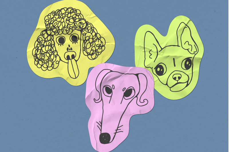 doodel-dog-breeds