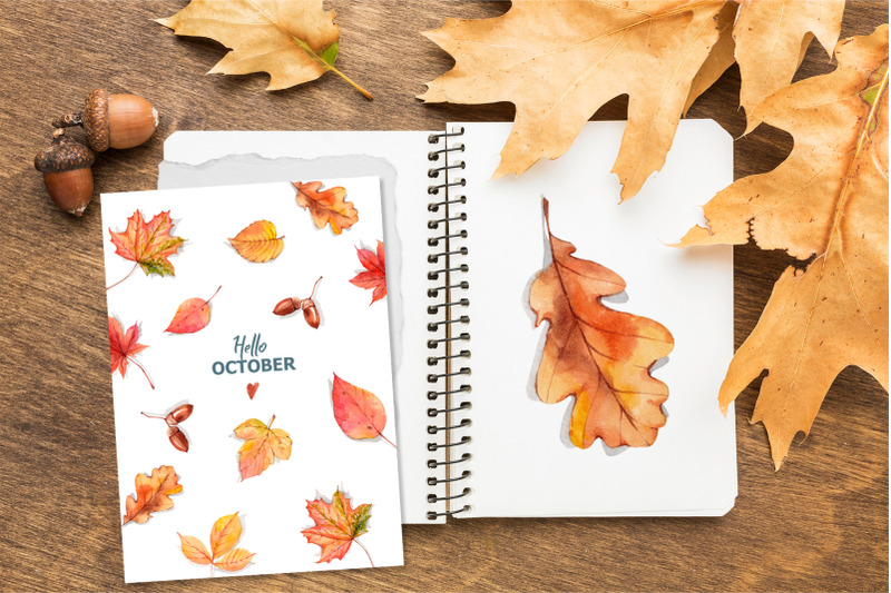 autumn-leaves-watercolor-clipart