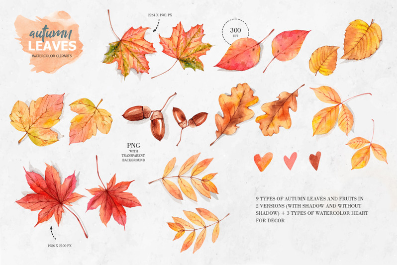 autumn-leaves-watercolor-clipart