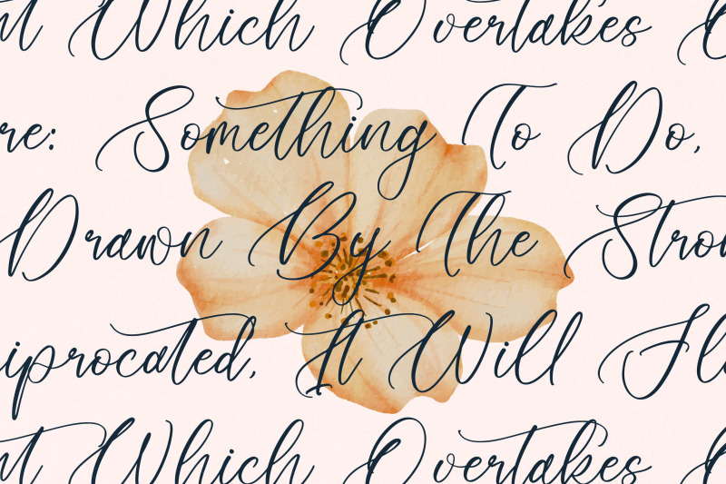 floresta-castello-beautiful-script-font