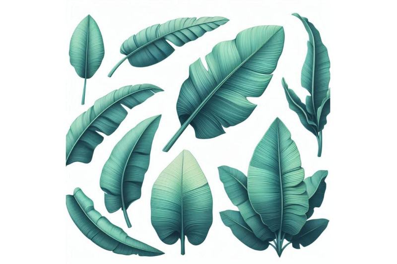 fresh-turquoise-green-banana-leaves