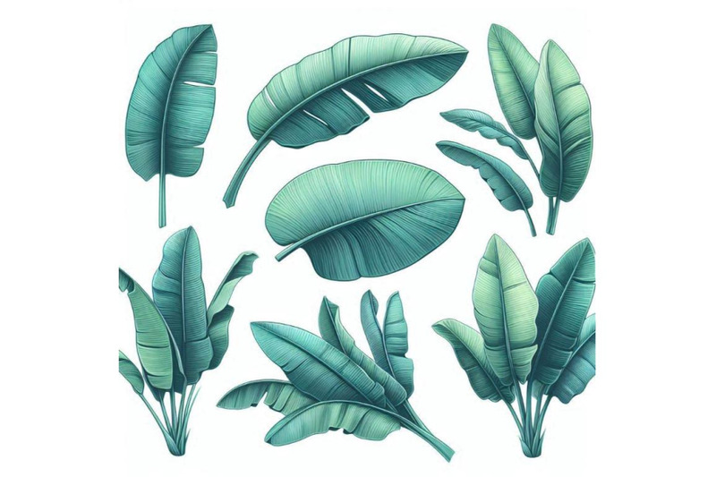 fresh-turquoise-green-banana-leaves